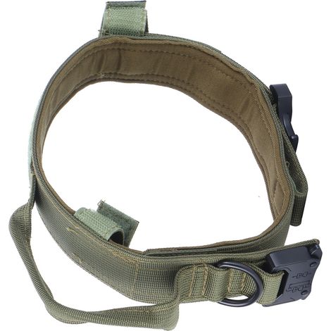 Collier chien nylon dressage chasse traction boucle acier accessoire animal vert (1/5)
