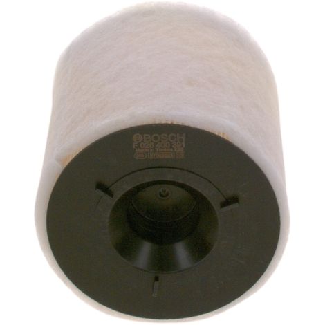 Luftfilter F026400391 Bosch (1/5)