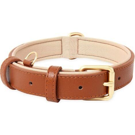 FENOPLASTICACollier de Chien, en Cuir, Collier de Chien Ajustable Coussin Moelleux Cuir Rembourré pour Petite, Moyenne ou Grande Chiens, Marron, M (1/4)