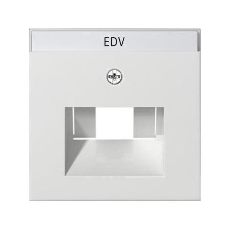 Gira Zentralplatte UAE/IAE 1-fach reinweiß glänzend System 55 028403 Schraubbef (1/5)