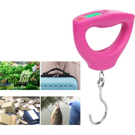 Balance à main portable de haute précision 50 kg 10 g avec écran LCD et crochet (WH A24) (1/5)