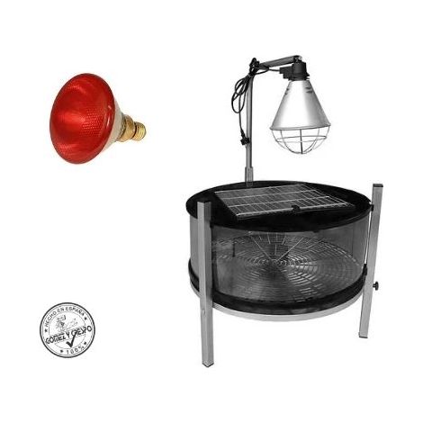 Allevatore completo per l'allevamento di pulcini (include portale mammilla + lampadina IR 175W)