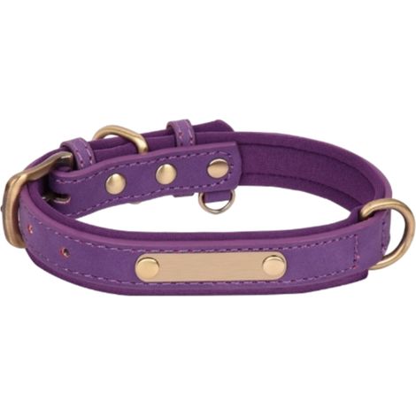 Collier Pour Chien - Cuir PU Motif Crocodile - Plaque Personnalisée Gravée - Pour Chiens Petits À Moyens - 1 Pièce (1/5)