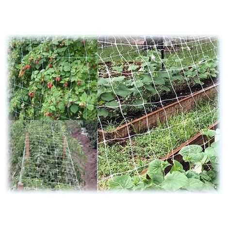 RETE SOSTENGREEN H170 RT. ML.100