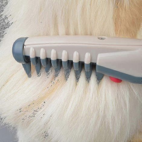 Peigne électrique pour animaux de compagnie, peigne de toilettage pour chiens et chats, tondeuse à poils, élimine les nœuds et les bourres, outils et accessoires de toilettage, brosse de massage pour (1/4)