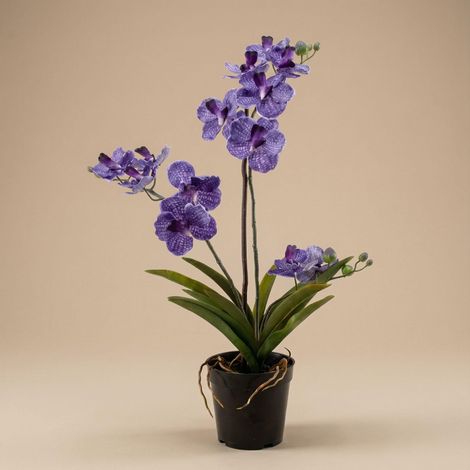 Orchidée Vanda Artificielle 60 cm Plante Fleurie Violette avec Pot Décoration Intérieure - PANGIVO (1/5)