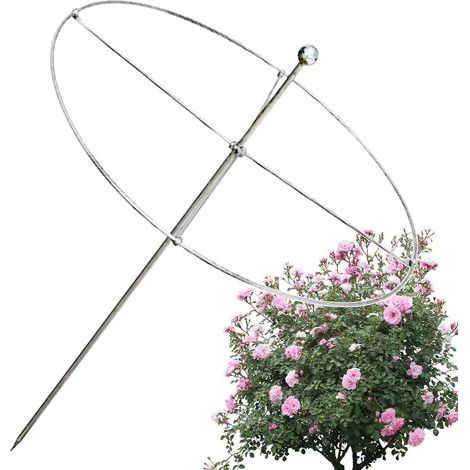 wetterbeständig für drinnen und draußen Blumenpflanzenstütze (1/5)