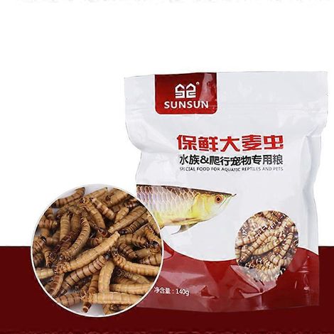 Accessoires d'alimentation pour reptiles d'aquarium - 2 (1/5)