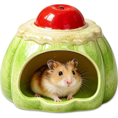 Ceramic Hamster House, Hideout Habitats Dwarf Gerbils Pet Habitat (1/2)