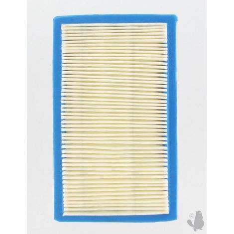 Luftfilter LAWN-BOY 613361