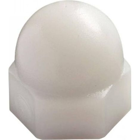 100 Ecrous Borgnes M10 mm - TYPE DIN 1587 - UNI 5721 - Nylon 6.6 - D-Work