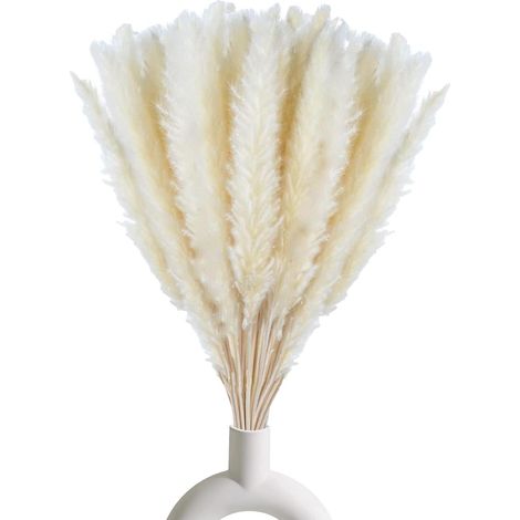 Lot de 30 brins d'herbe de la pampa blanche, 45 cm, décoration naturelle pour la maison, fêtes, compositions florales (1/4)
