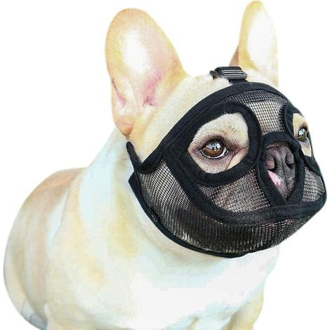 Muselière chien et chat en mesh noir taille M, couvre-gueule anti-morsure réglable pour bouledogue, Pékinois, Shih Tzu, bouledogue anglais et français. (1/5)