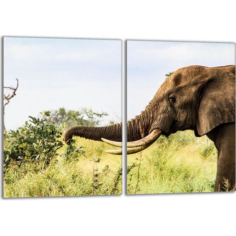 Glasschutzplatte für den Herd 2x40x52 Elefant (1/5)