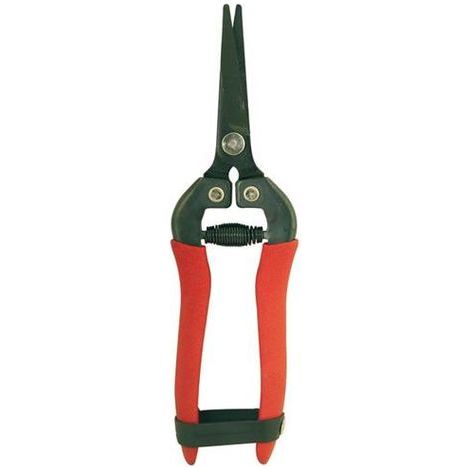 Forbici Ortofrutta Brixo Per Raccolta Uva Lama Curva In Acciaio 18Cm. (1/4)