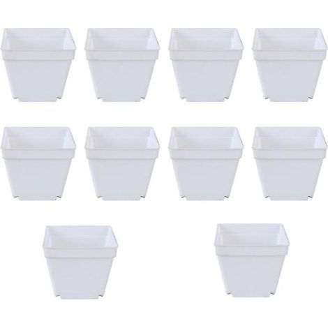 10 pots pour plantes succulentes (1/3)