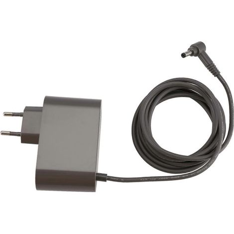 Chargeur de remplacement pour aspirateur sans fil Absolute Animal Motorhead V10 V11 V12 V15 SV12, 30,45 V 1,1 A, prise européenne