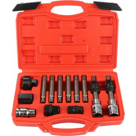Kit 13 Pezzi Chiavi Smontaggio Puleggia e Alternatore Motore Auto Svita Avvita