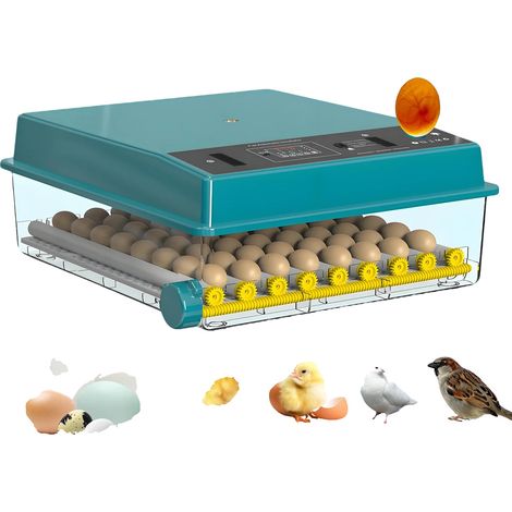 Incubadora de huevos, capacidad para 36 huevos, control automático de temperatura, 64 huevos, alimentación única. (1/2)