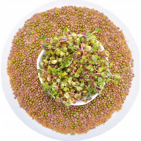 Mezcla picante - 100 g de semillas para germinar (1/5)