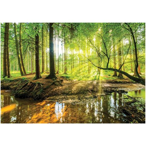 Papier peint panoramique forêt soleil vert, décoration murale pour salle de bain, salon, chambre à coucher – 400 x 280 cm Wallarena (1/4)