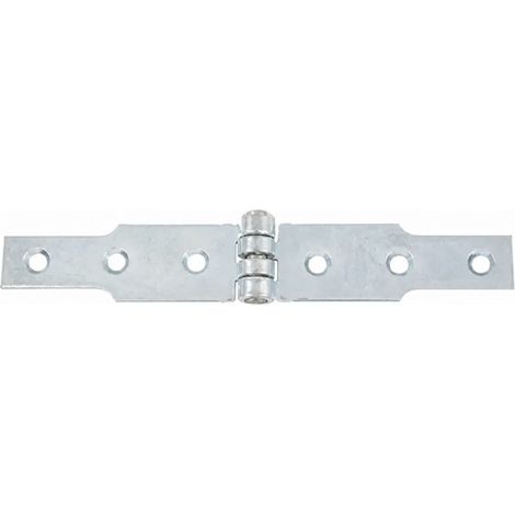Cerniera congealed, 40 x 3 mm, 2 x L.120 mm, zincato bianco