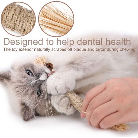 Bâtonnets de champignons du bois pour jouets à mâcher pour chats  bonbons et brochettes de fruits à base de champignons du bois (1/5)