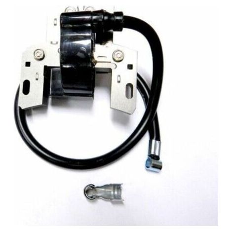 FENOPLASTICABobine allumage moteur Briggs et Stratton 591459