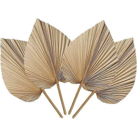 feuilles de palmier séchées naturelles, parfaites pour la décoration.