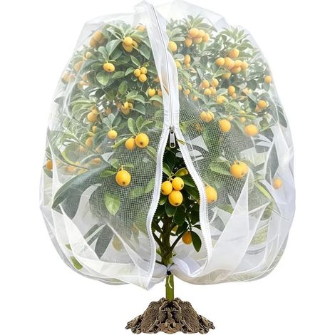 1,8 m x 1,8 m Filet Anti Oiseaux,Filet Arbre Fruitier avec Fermeture éclair et Cordon de Serrage,Mailles Fines Filets pour (1/5)
