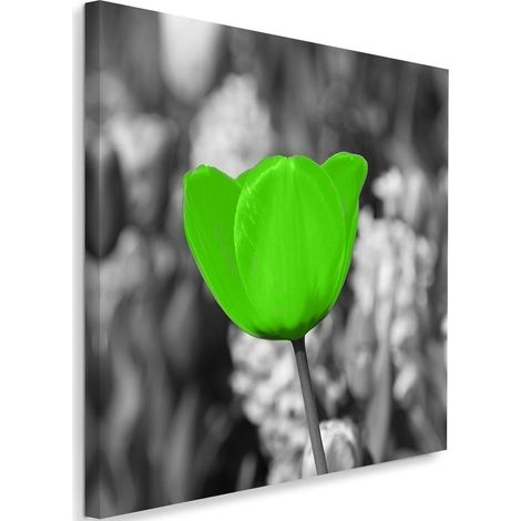 Cadre déco Fleur de tulipe 60x60 (1/5)