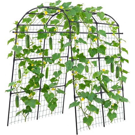 Mophorn Treillis en arche pour plantes grimpantes, structure métallique robuste, pour vignes, haricots, courgettes, tomates et fleurs, avec revêtement en plastique PE, dimensions 180x112x210,8 cm (1/5)