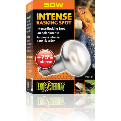 Exo Terra Lampada spot intensa, 50 W