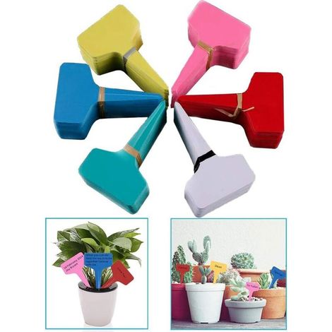 Etichette e cartellini per piante, etichette per formaggio, cartelli per giardino, etichette per orto, etichette per piantine, piccoli attrezzi, accessori da giardinaggio, mini etichette, cartelli per
