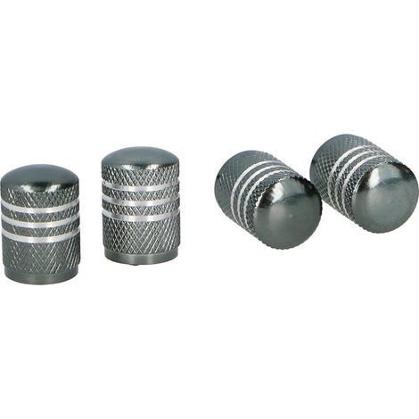 Lot de 4 enjoliveurs de roue de voiture gris (1/3)