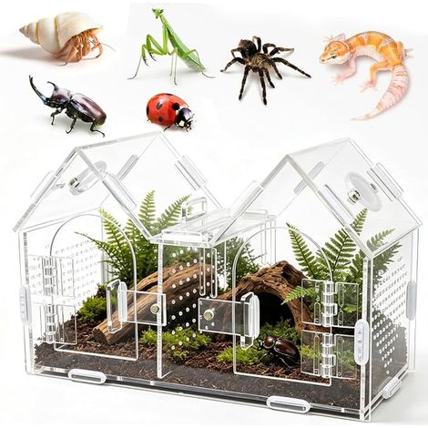 Boîte de Terrarium, Acrylique pour Araignée avec Verrou (1/5)