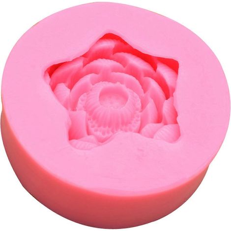 Silikon-Kuchendekorationswerkzeuge Fondant Schokoladenform Kekse Silikonform (1/5)