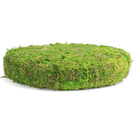 VASSOIO IN MUSCHIO DECO BIZZOTTO EWEN D32X7H