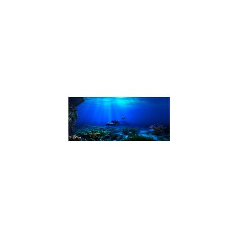 Poster adhésif de fond marin pour aquarium, 122 x 46 cm (1/5)