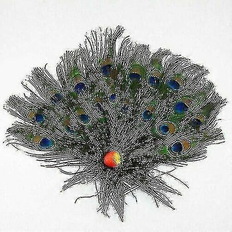 100 plumes de queue de paon naturelles (25-30 cm) pour la décoration de bouquets à faire soi-même-10PCS (1/4)