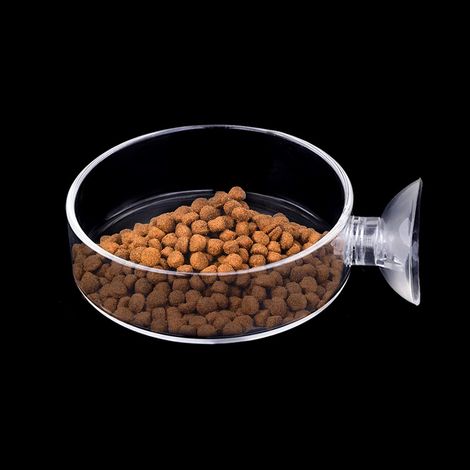 Gamelle pour aquarium, crevettes, bol de 60 mm (1/5)