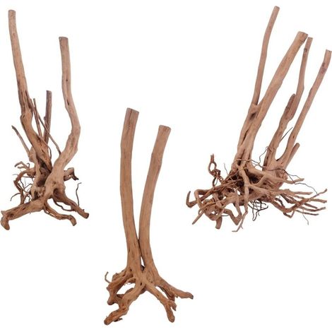 Stump Wurzel L 80-100 cm