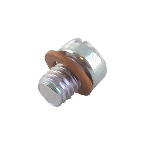 Vis BRIGGS ET STRATTON 807714