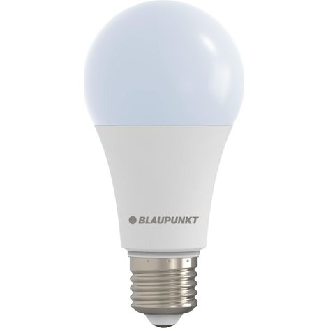 Ampoule LED E27 A65 18W 1980lm 6000K Blanc Froid ES, Lot de 1 (1/5)