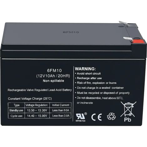 Batteria 12V 10Ah Ricambio Compatibile con Giochi Elettrici per Bambini