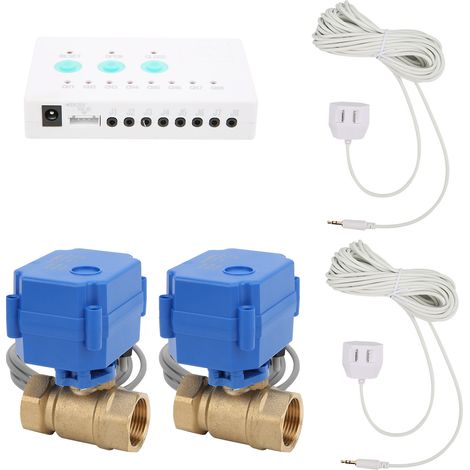 Détecteur de fuite d'eau à double vanne avec alarme sonore et prise intelligente AC100-240VEU (1/5)