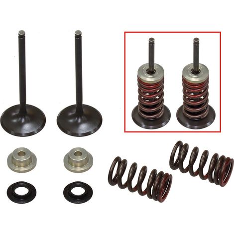 SOUPAPES D'ADMISSION PSYCHIQUES (ENSEMBLE DE SOUPAPES AVEC RESSORTS ET RONDELLES) SUZUKI RMZ 250 '10-'15 ACIER (MX-09531I) (31X4,48X80,2MM)