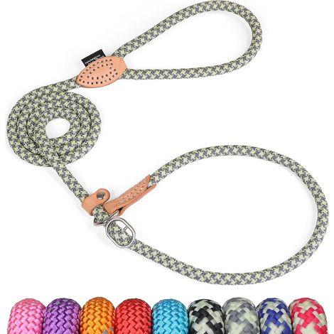 Reflective Training Lead for Dogs and Cats of Different Sizes 5ft (1/5)