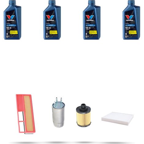Kit tagliando 4 FILTRI e 4L OLIO compatibile con Fiat Punto EVO 1.3 D Multijet 66kw dal 2009 al 2012 (1/5)