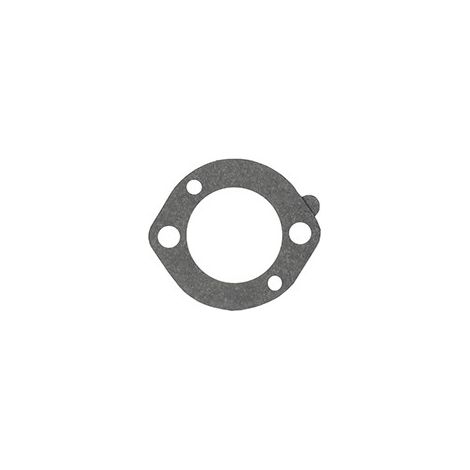 Joint de filtre à air BRIGGS ET STRATTON 696024